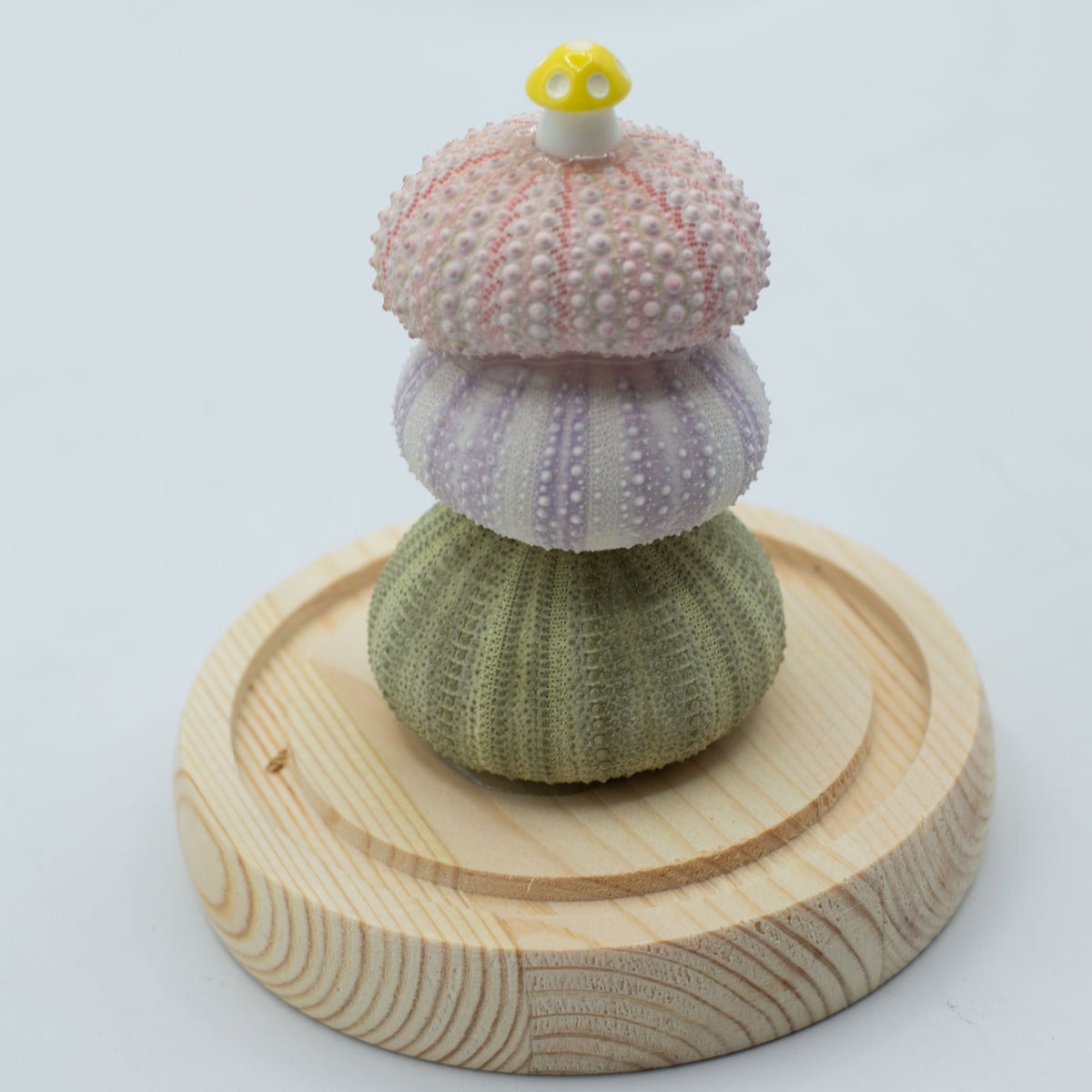 Floral Glow Dome - 3 Sea Urchins, LED USB – view 3