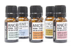 Family Trip Car Diffuser Essential Oil Blend 10ml – view 5
