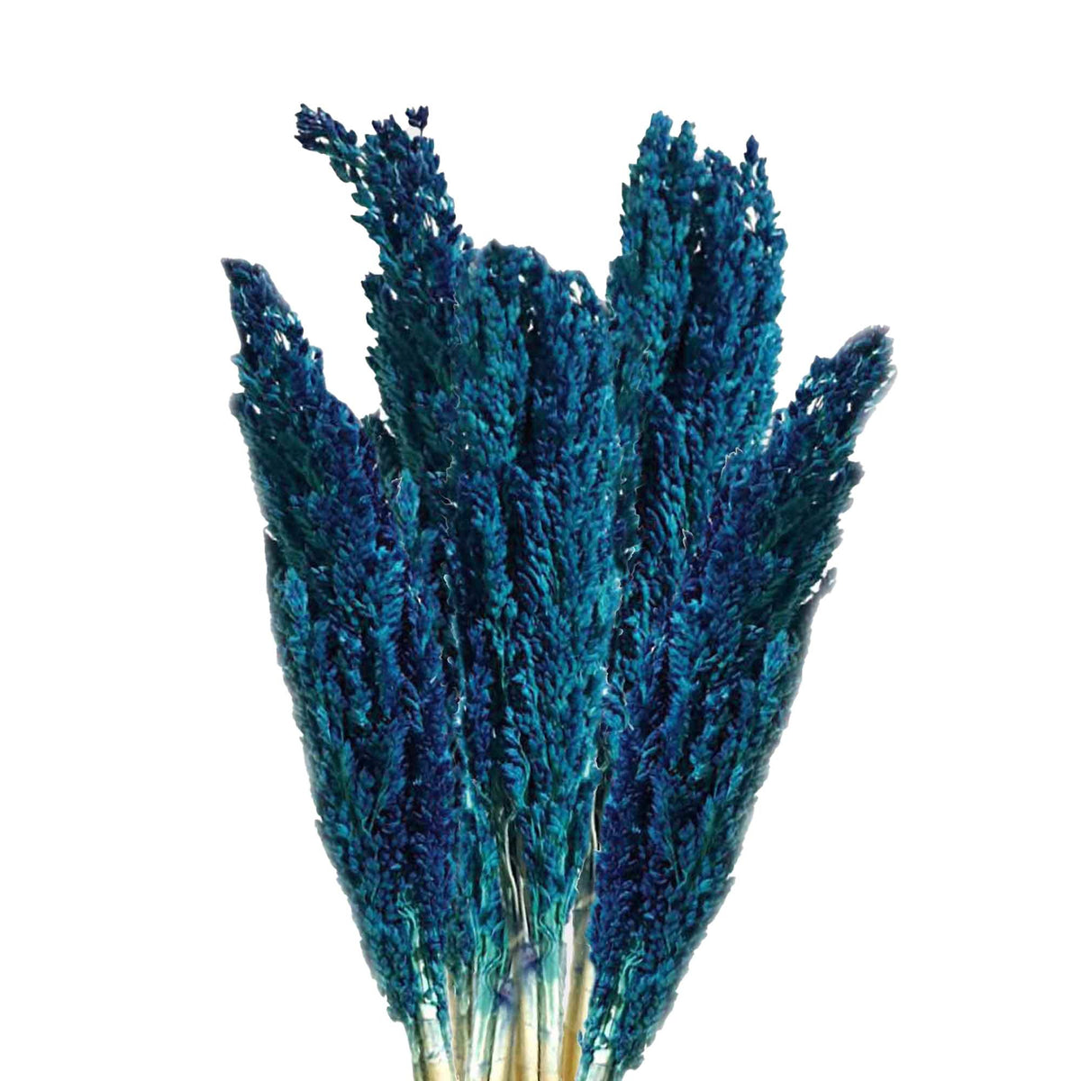 Cantal Grass Bunch - Blue (Set of 6) – view 2
