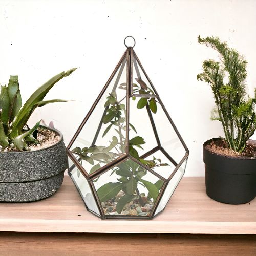Glass Terrarium, Large Pyramid – view 5