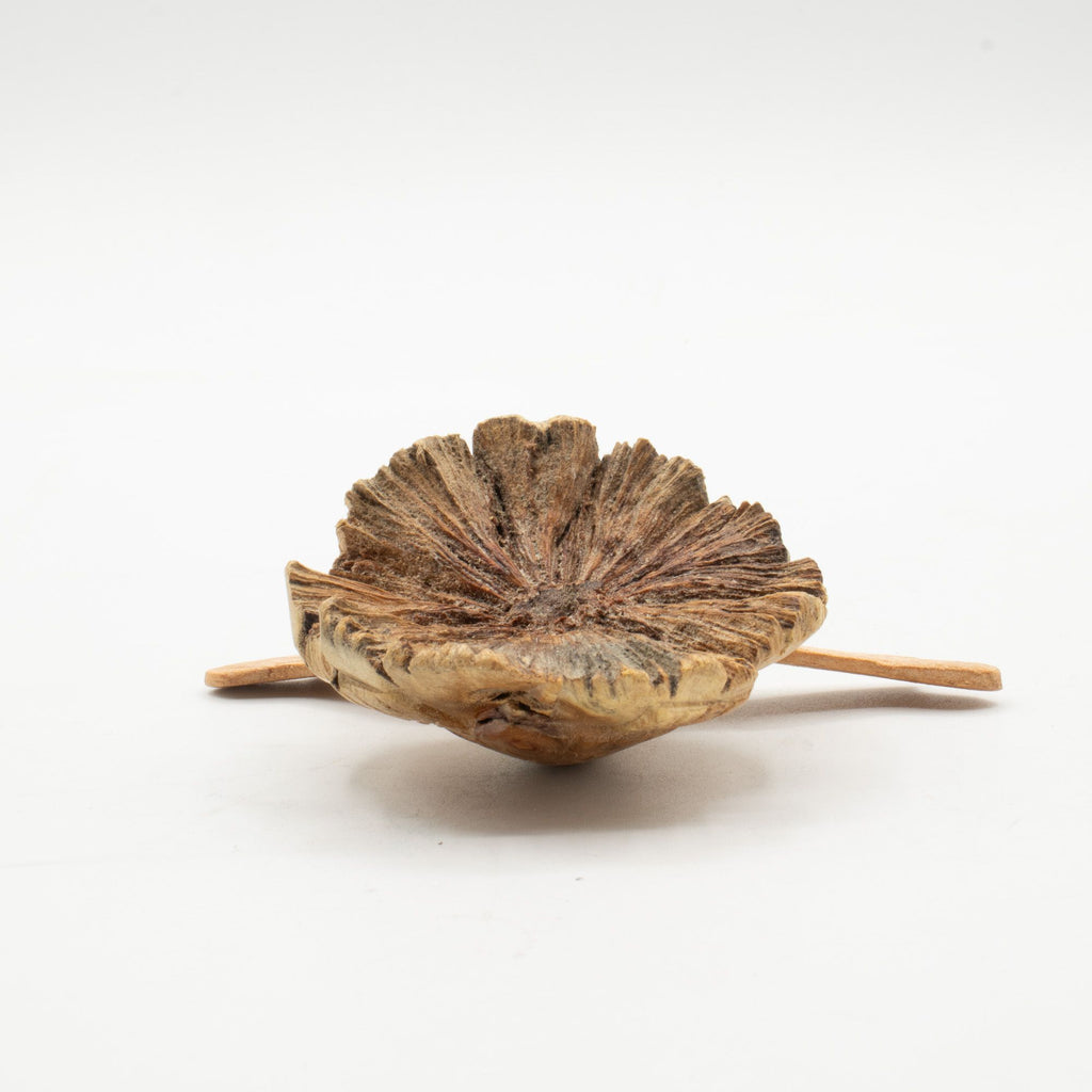 Parasite Wood Carving - Rising Sea Turtle – view 5