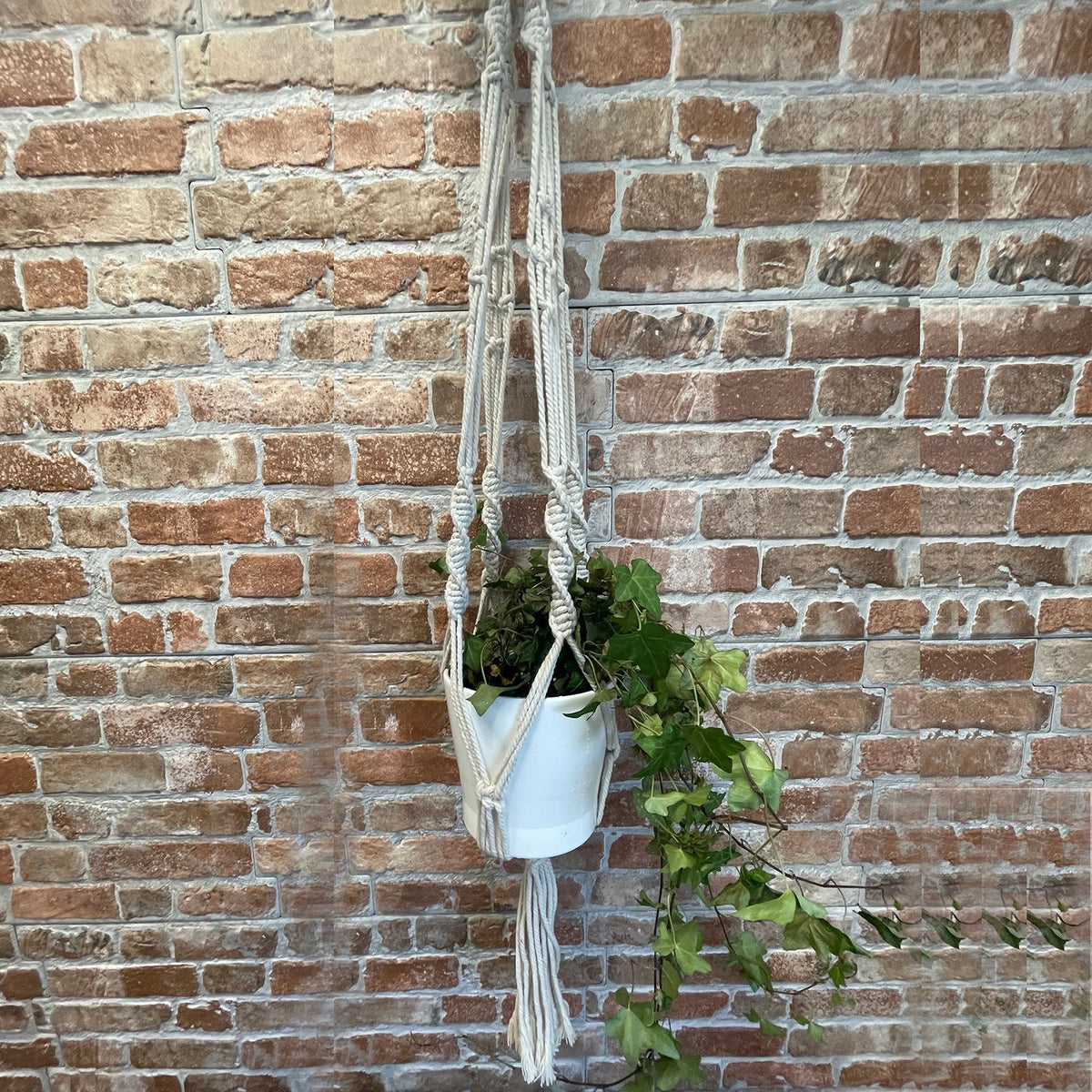 Large Macrame Plant Hanger - Extra Long, 90cm – view 6