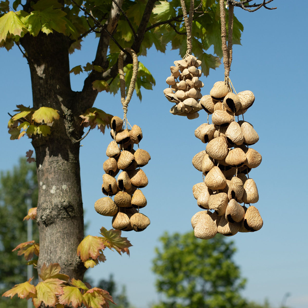 Medium Pangi Seed Shell Shaker - String of 30 Natural Shells – view 5