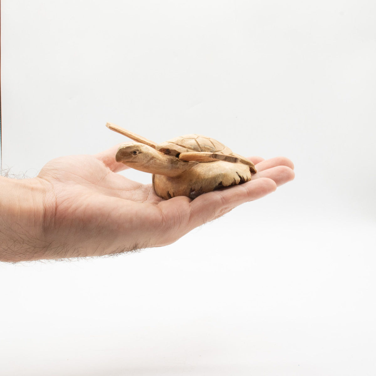 Parasite Wood Carving - Rising Sea Turtle – view 2