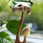 Parasite Wood Carving - Set of Two Mushrooms