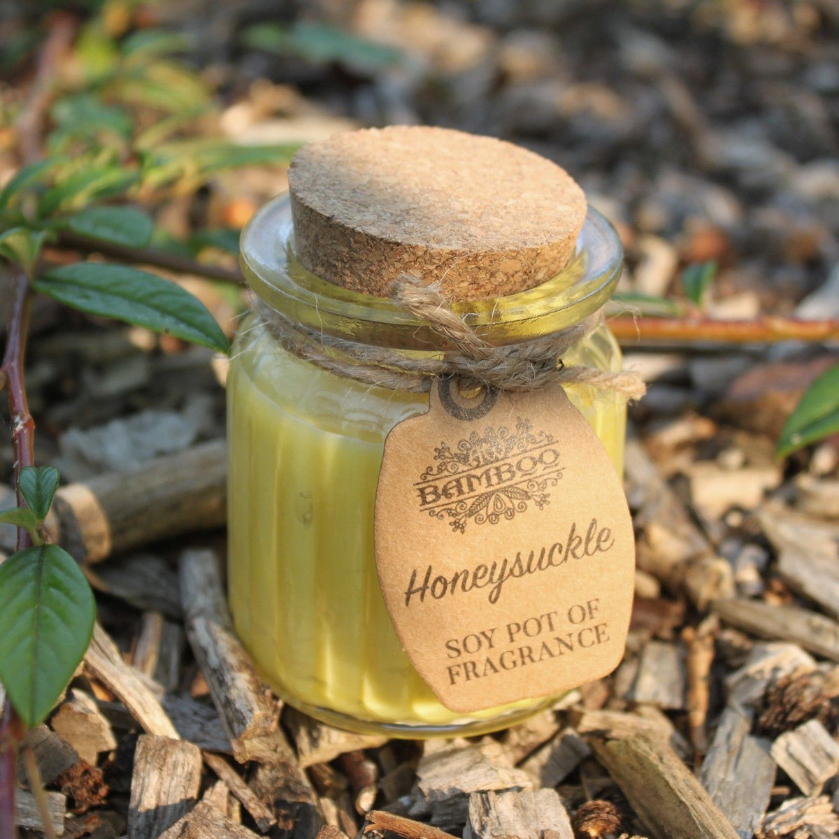 Honeysuckle Soy Wax Fragrance Candle Pot – view 2