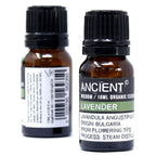 Tea Tree Organic Essential Oil 10ml – view 2