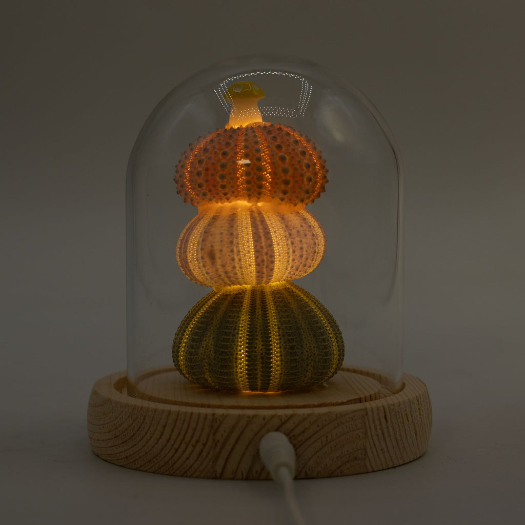 Floral Glow Dome - 3 Sea Urchins, LED USB – view 5