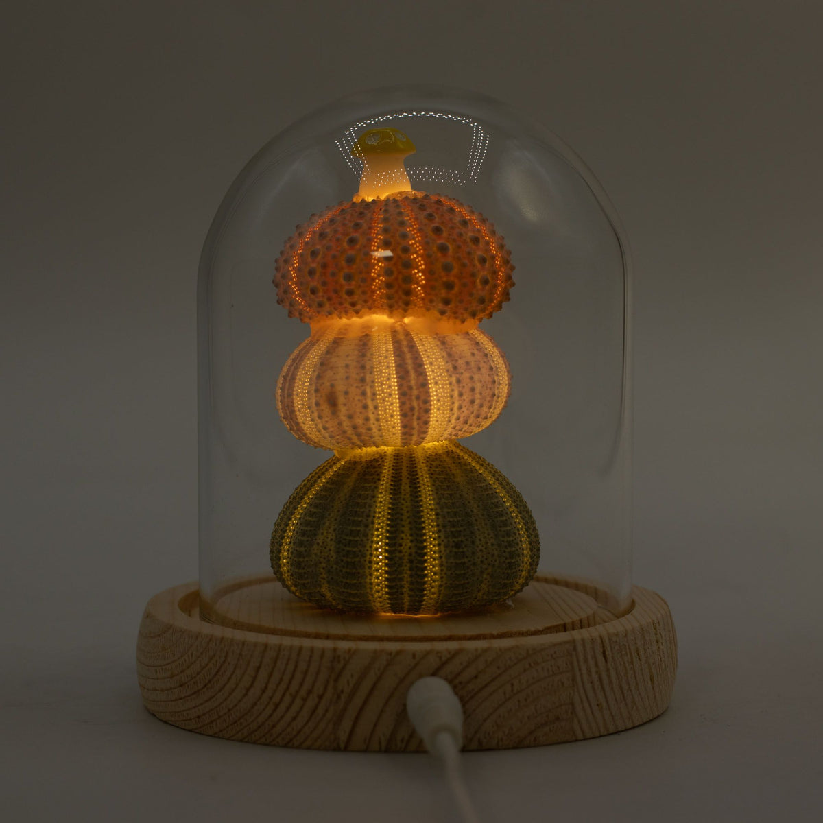 Floral Glow Dome - 3 Sea Urchins, LED USB – view 5