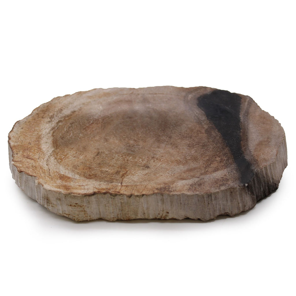 Petrified Wood Soap Dish, Black – view 5