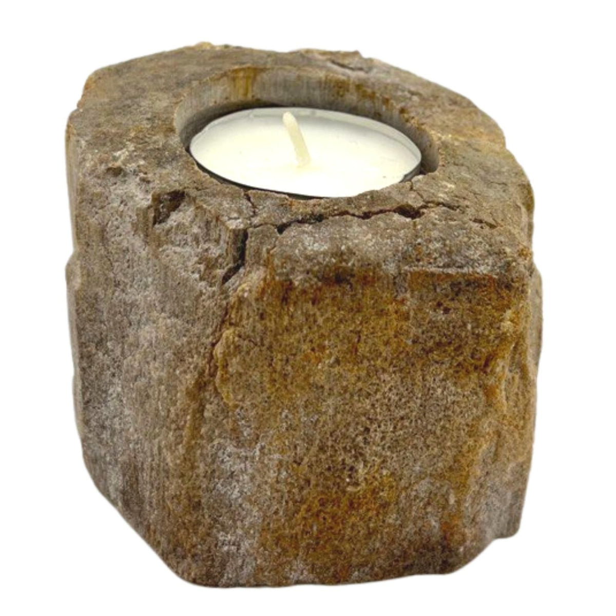 Petrified Wood Candle Holder - Single Low – view 5