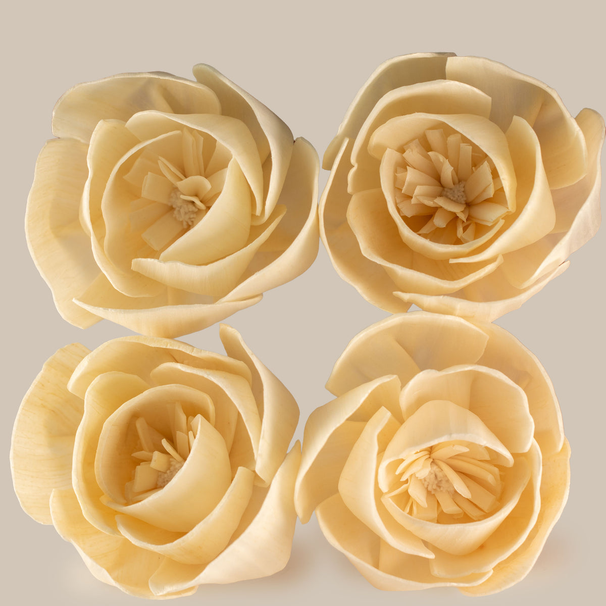Sola Wood Rose Diffuser Flowers on String, Large, Set of 4 – view 4
