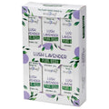 Plant Based Fragrance Oil - Lush Lavender