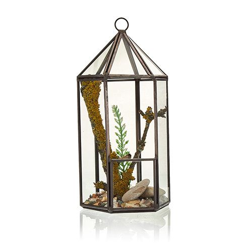 Glass Terrarium, Lantern Shape – view 4