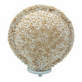 Boho Seashell Lamp - Cut Art Round, 30cm