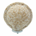 Boho Seashell Lamp - Cut Art Round, 30cm