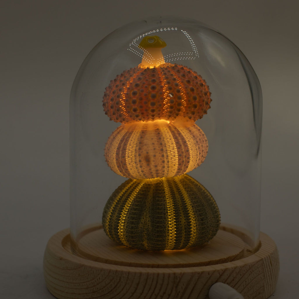 Floral Glow Dome - 3 Sea Urchins, LED USB – view 6