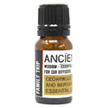 Family Trip Car Diffuser Essential Oil Blend 10ml