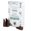 Stamford Backflow Incense Cones - Lush Lavender, 12 Pack
