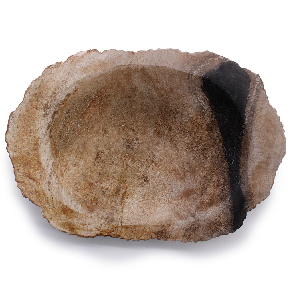 Petrified Wood Soap Dish, Black