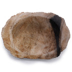 Petrified Wood Soap Dish, Black