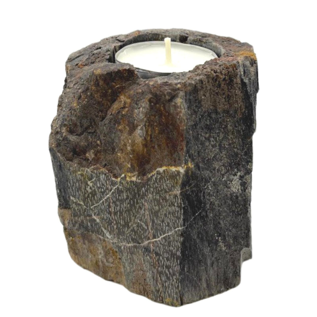 Petrified Wood Candle Holder - Single Low – view 4