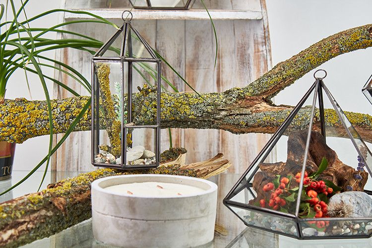 Glass Terrarium, Large Octagon – view 5