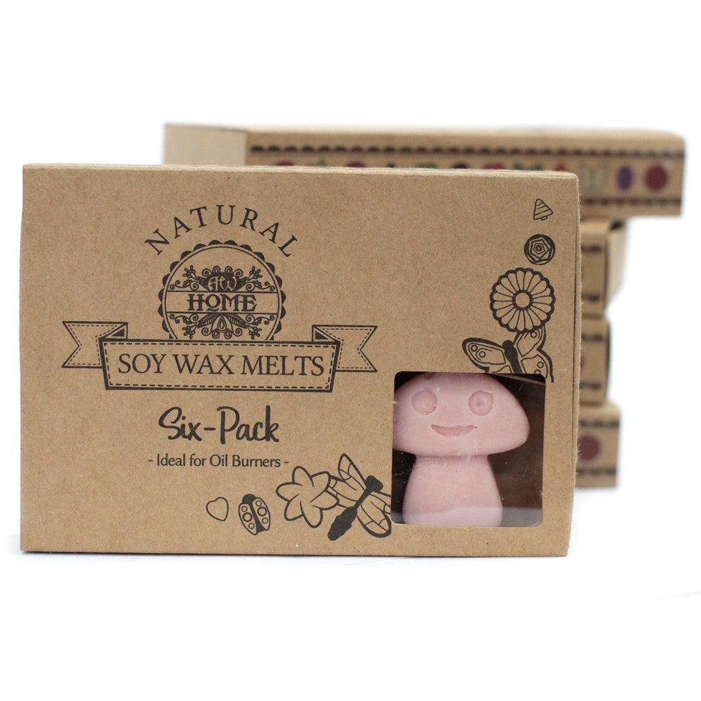 Coffee Trader Wax Melts Gift Box of 6