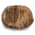 Petrified Wood Soap Dish, Brown – view 2