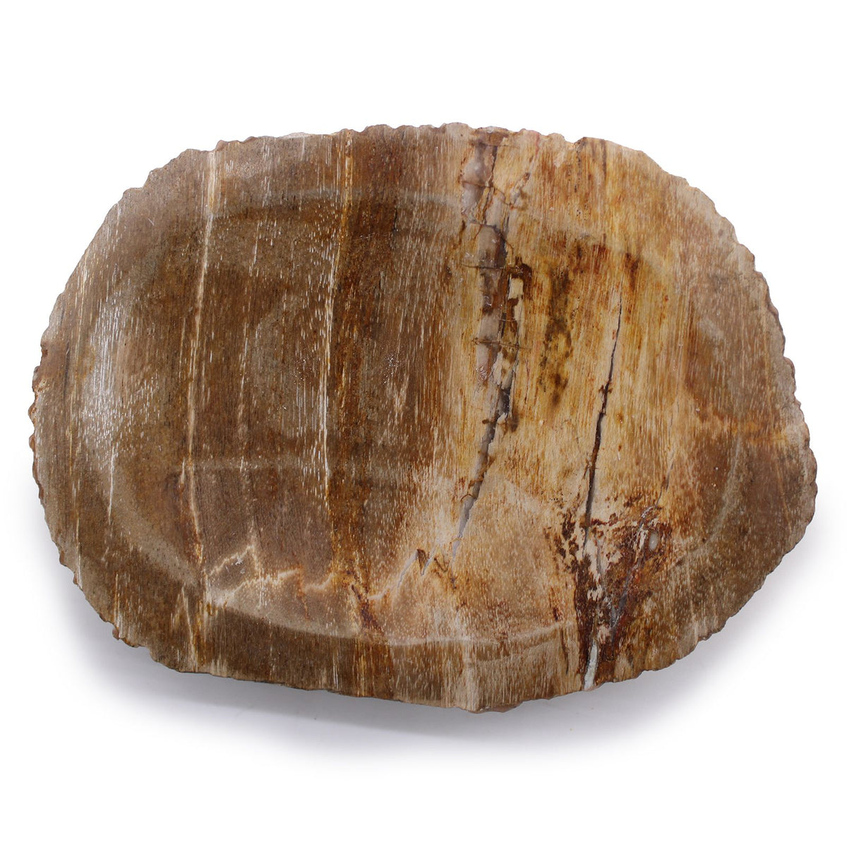 Petrified Wood Soap Dish, Brown – view 2