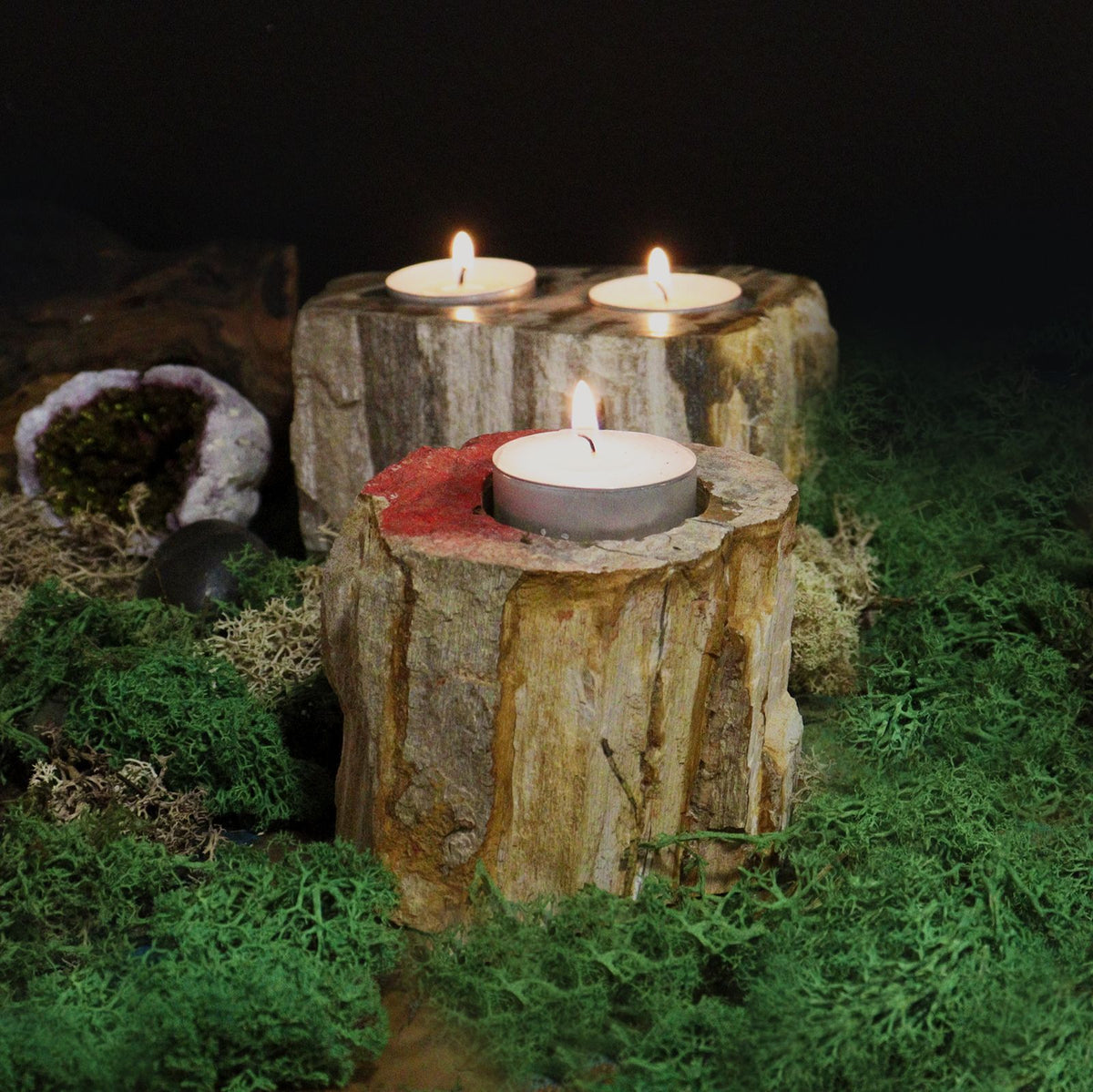 Petrified Wood Candle Holder - Single Low – view 3