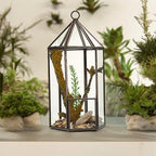 Glass Terrarium, Lantern Shape – view 2