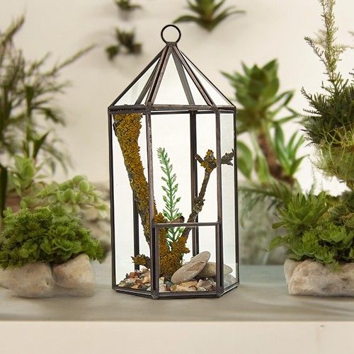 Glass Terrarium, Lantern Shape – view 2