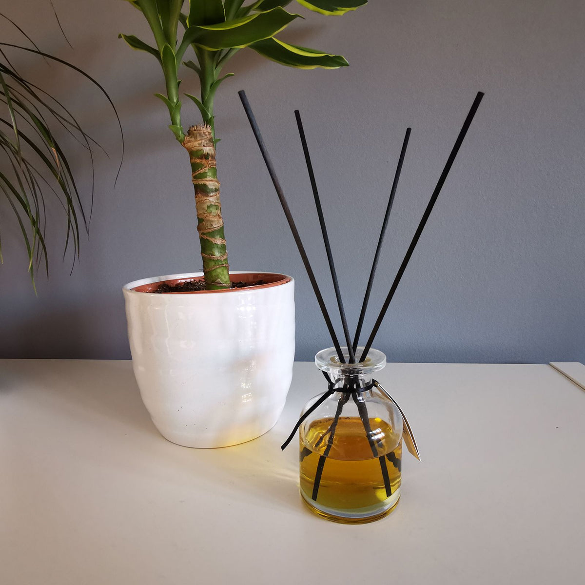 Fibre Reed Diffuser Sticks 25cm x 3mm - Pack of 250