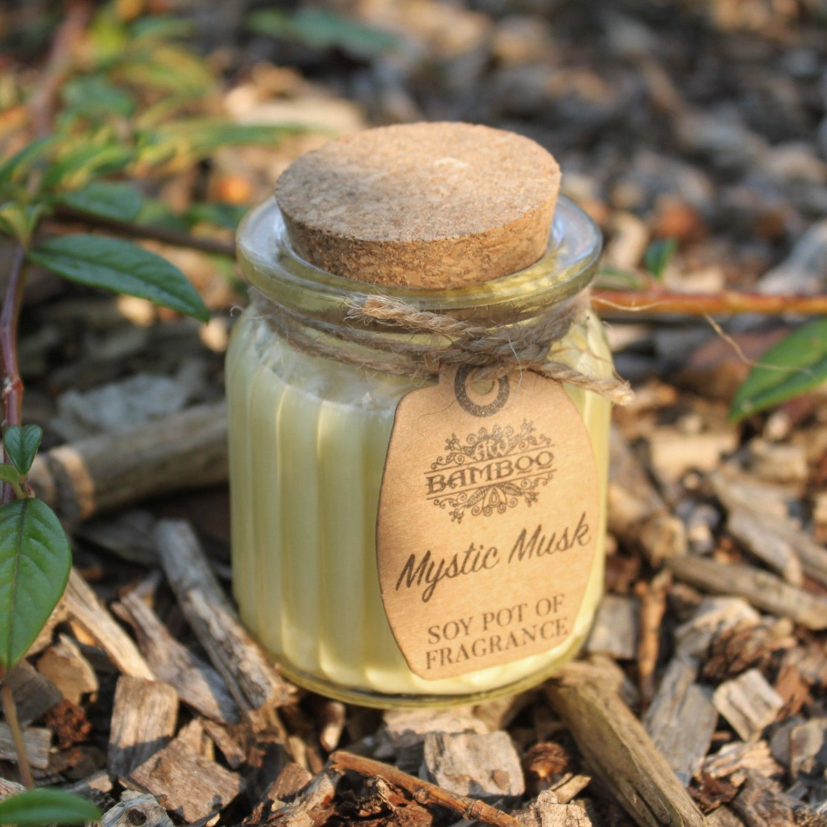 Mystic Musk Soy Wax Pot Candle in Glass Jar