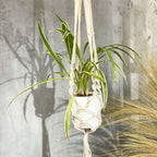 Large Macrame Plant Hanger - Extra Long, 90cm – view 3