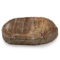 Petrified Wood Soap Dish, Brown