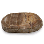 Petrified Wood Soap Dish, Brown