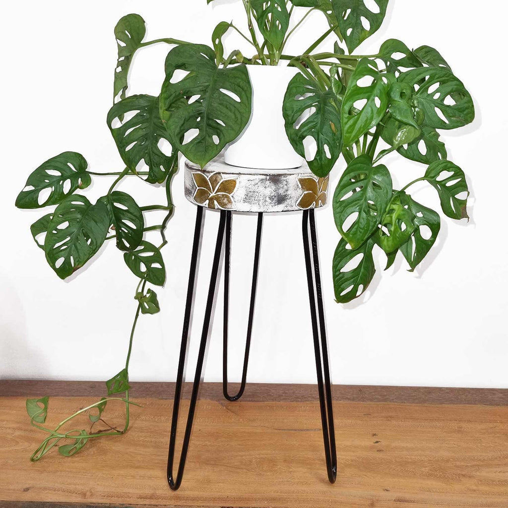 Albasia Wood Plant Stand - Whitewash – view 4