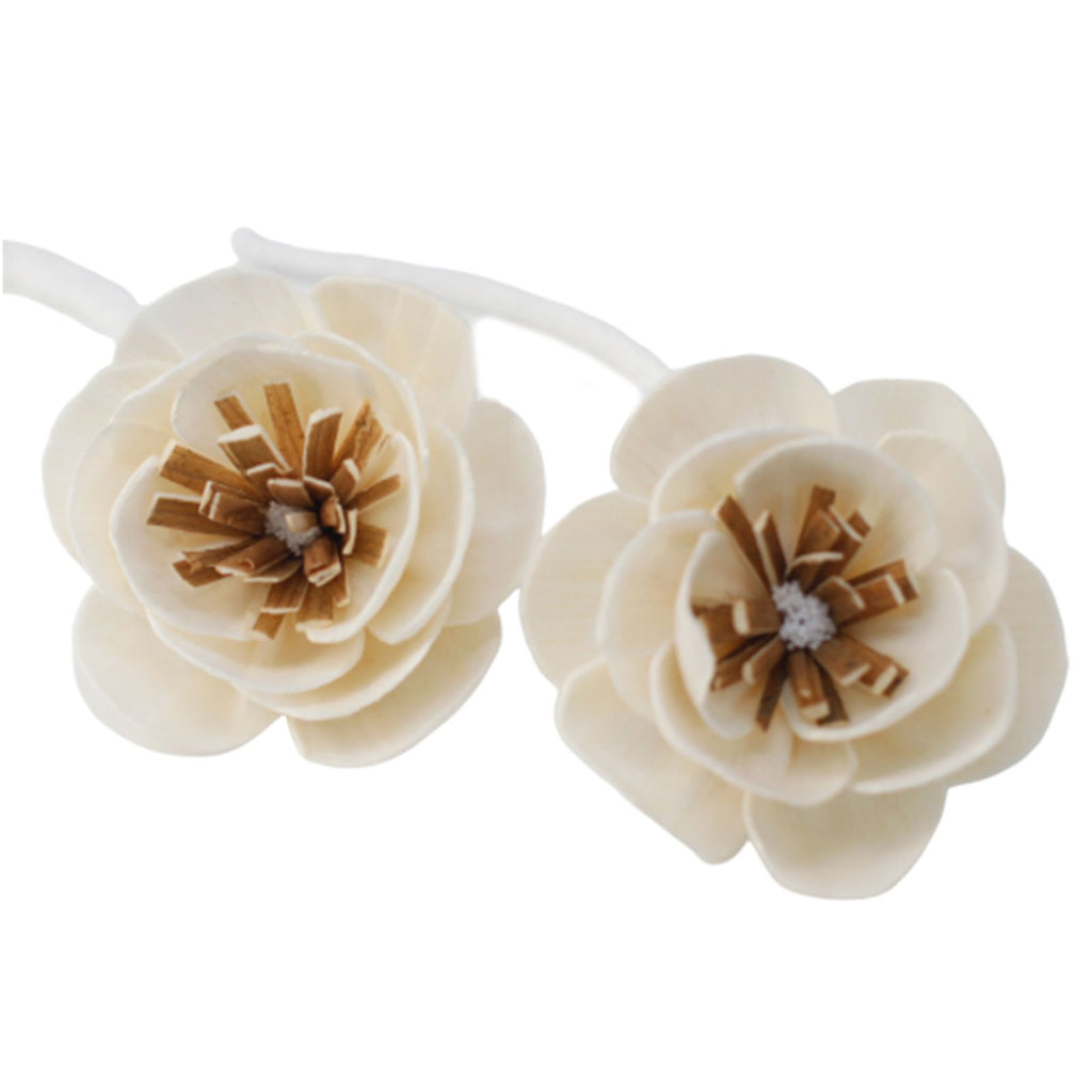 Sola Wood Poppy Diffuser Flowers on String, Small, Set of 4 – view 3