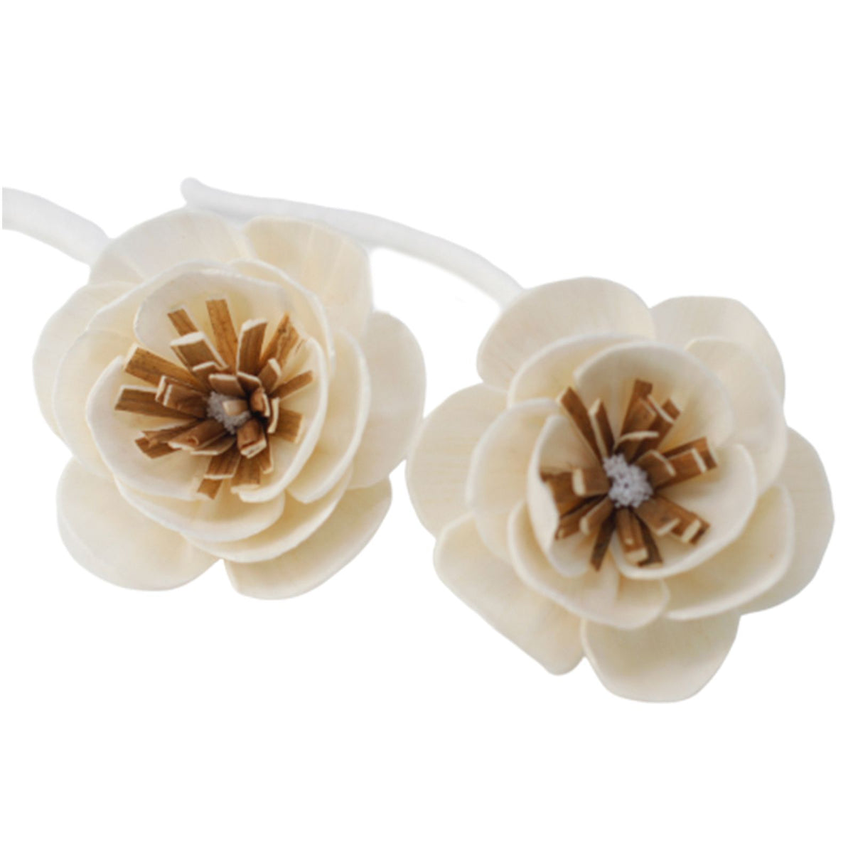 Sola Wood Poppy Diffuser Flowers on String, Small, Set of 4 – view 3
