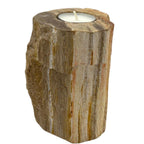 Petrified Wood Candle Holder - Single Tall – view 3