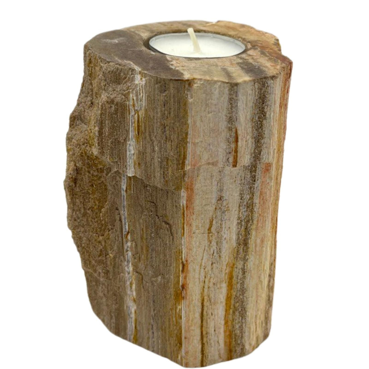 Petrified Wood Candle Holder - Single Tall – view 3