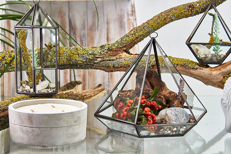 Glass Terrarium, Large Diamond – view 2