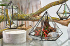 Glass Terrarium, Large Diamond – view 2