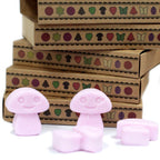 Ylang Ylang Wax Melts Gift Box of 6