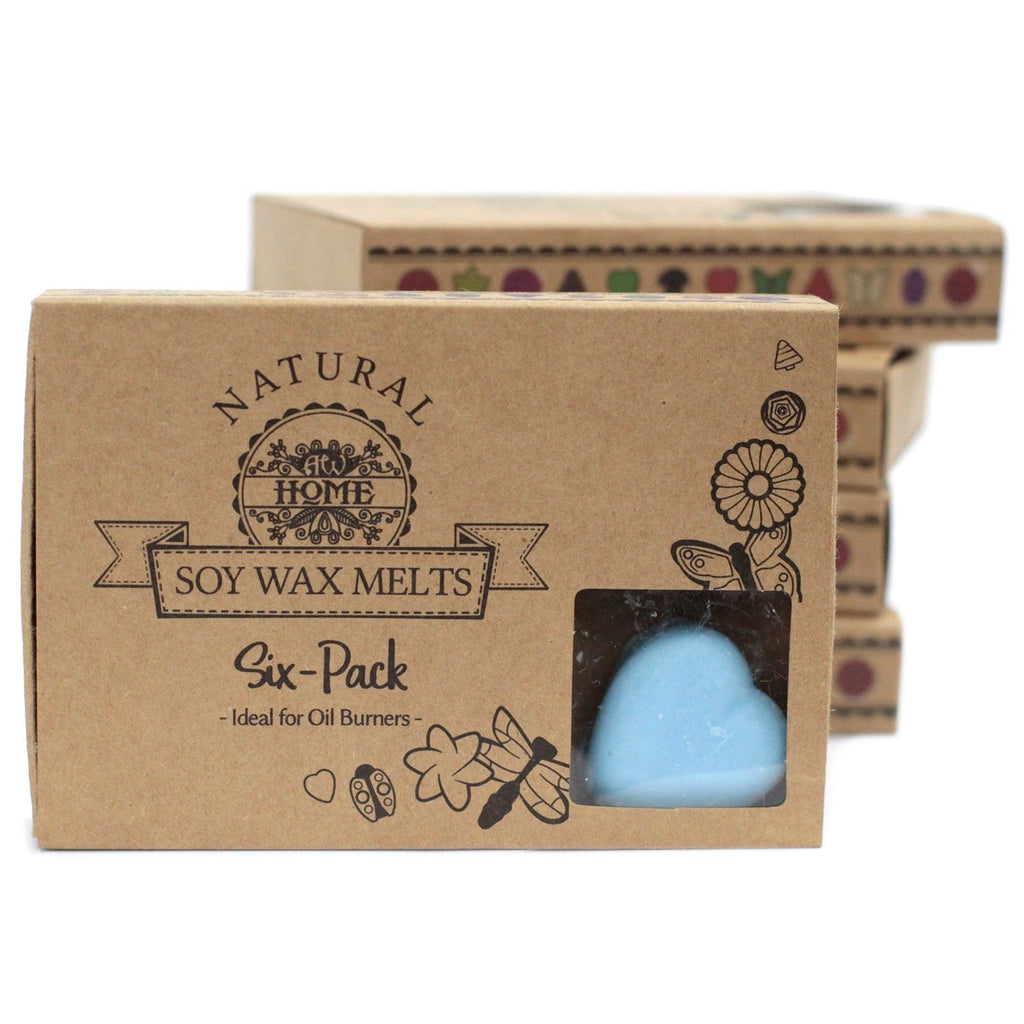 Dewberry Wax Melts Gift Box of 6 – view 3