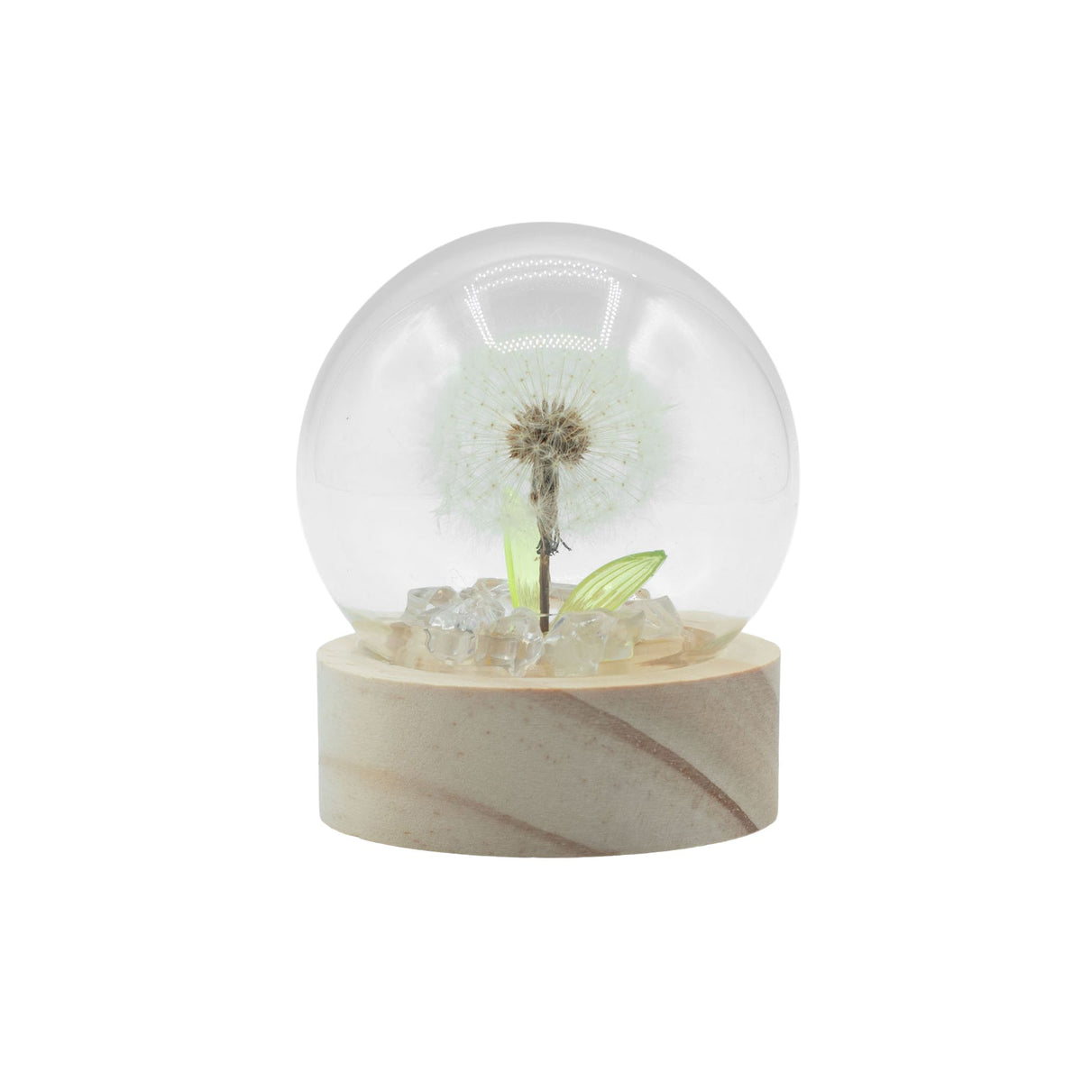 Floral Glow Dome - 1 Dandelion, LED Battery