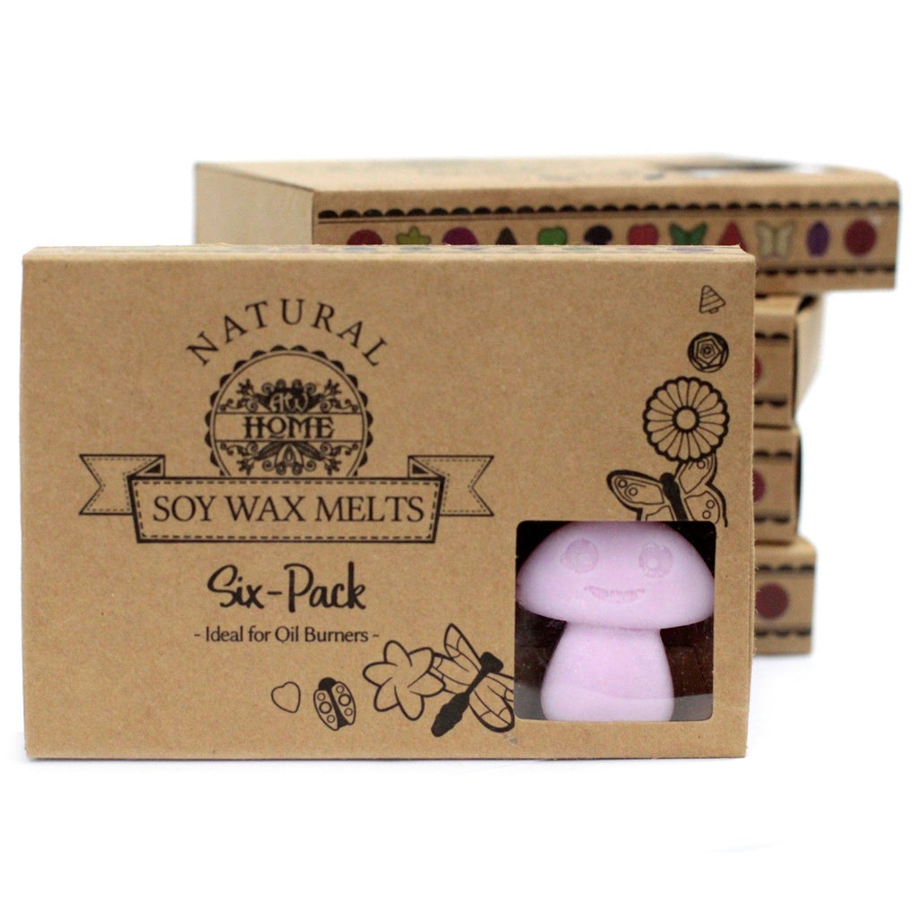 Ylang Ylang Wax Melts Gift Box of 6 – view 4