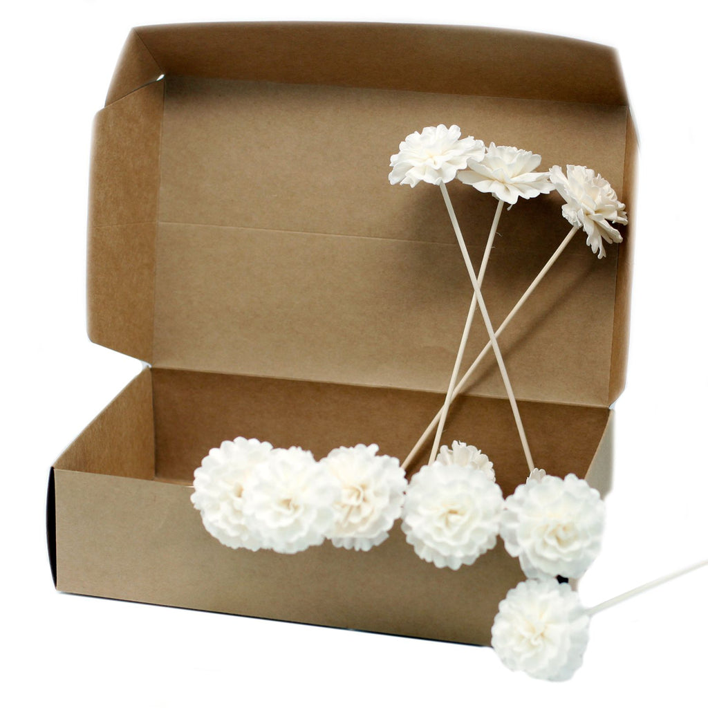 Sola Wood Carnation Diffuser Reeds, Set of 4 – view 7